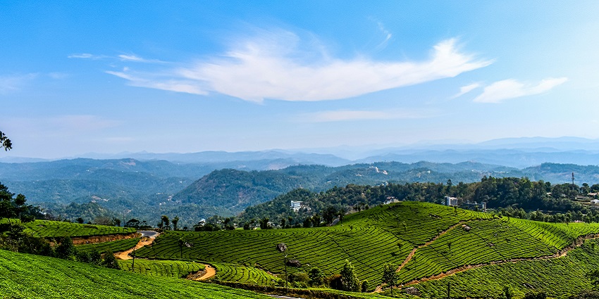 Enjoy the pleasant weather of Munnar, one of the places to visit in August in South India.