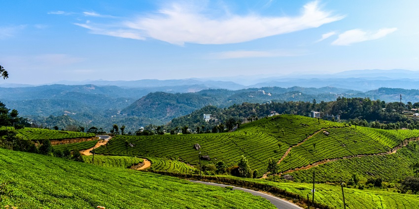 An image of Munnar’s tea gardens - one of the most popular places to visit in October in South India