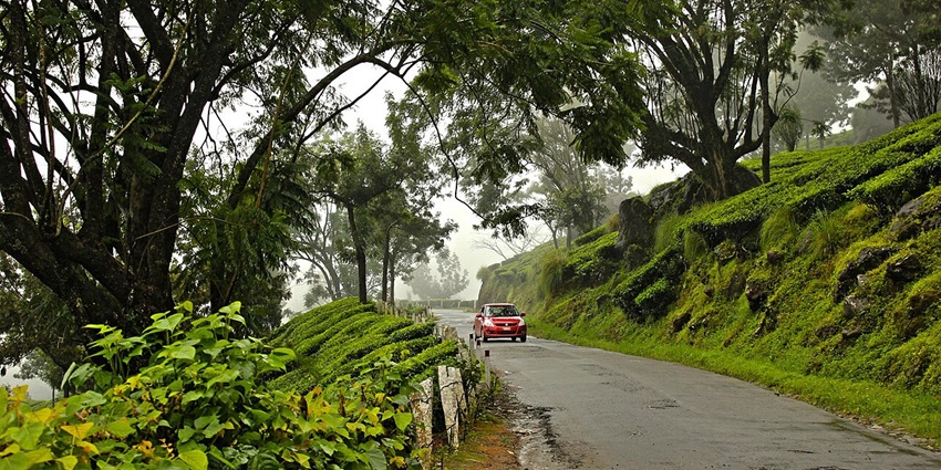 A red car on a winding road - one of the places to visit for honeymoon in December in India.