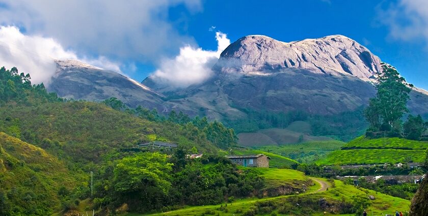 A mesmerising view of the hills peeking from the horizon in the sunny morning in Munnar, Kerala.