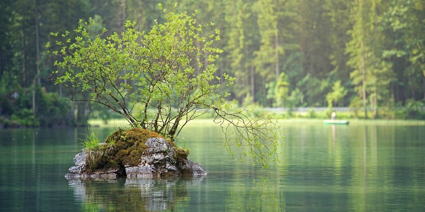 A glimpse of Munsar Lake which is only resting grounds for migratory birds.