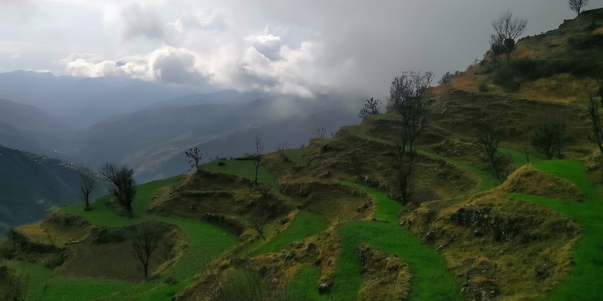 A scenic trail to Nag Tibba with lush greenery, rocky paths, and misty mountain views
