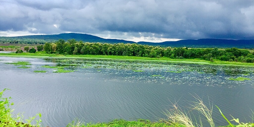 A Lake with a large water body, water weeds in the middle, resembling Nagchoon Lake