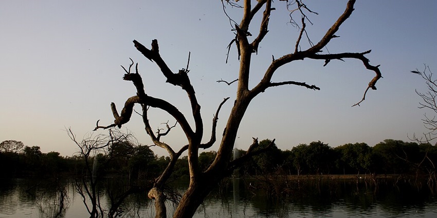 A peaceful view of the Naini Lake, with trees all around.