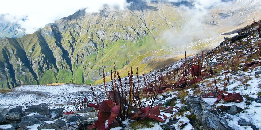 The glacial landscape of Nanda Devi National Park
