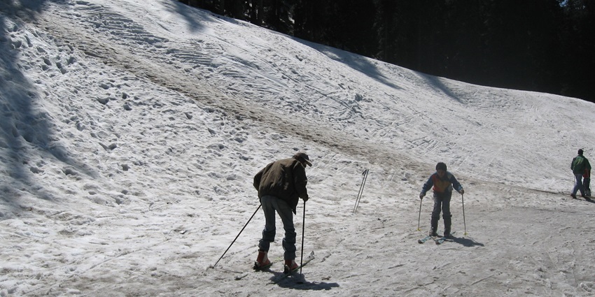 An image of two people skiing on the snowy slopes of Narkanda, with trees and other skiers.