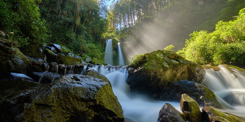 The majestic waterfall amidst the jungle in nature