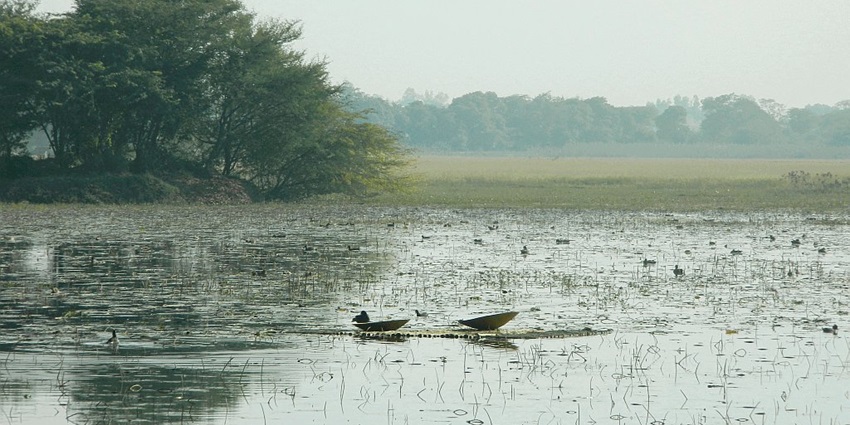 An image of a calm lake inside the Pilibhit Tiger Reserve in Uttar Pradesh.