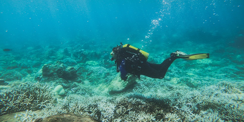 A snorkeller exploring the coral of Netrani Island, a good place for snorkelling in India