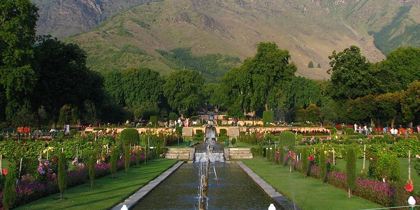 Nishat Bagh Mughal Gardens with different flowers and narrow water passing through.
