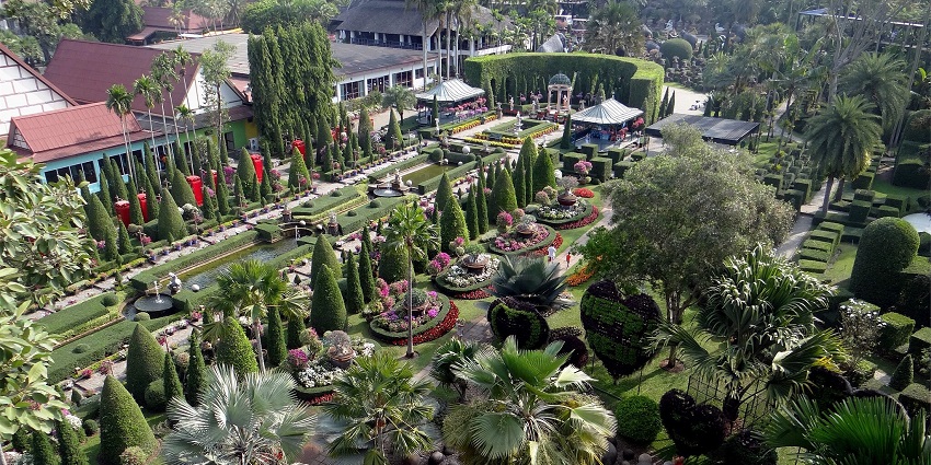 Lush tropical garden with exotic plants and wildlife, showcased in the Pattaya city guide