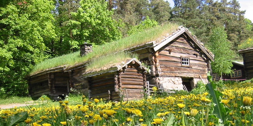An Image of the Norwegian Folk Museum, a rustic log cabin with a grass roof, surrounded by greenery.