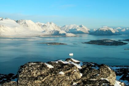 An image of a polar bear in the Northeast Greenland National Park, a famous place in Greenland.