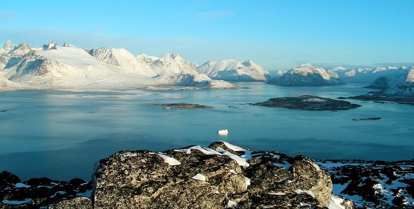 An image of a polar bear in the Northeast Greenland National Park, a famous place in Greenland.