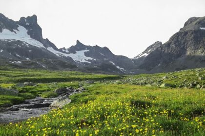 An image showing a view towards Norddalsfjorden near Kilsti, reflecting Norway Trekking