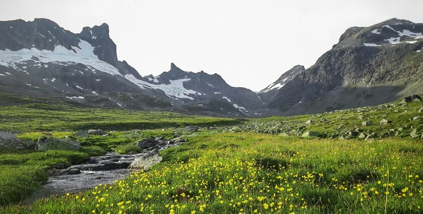 An image showing a view towards Norddalsfjorden near Kilsti, reflecting Norway Trekking