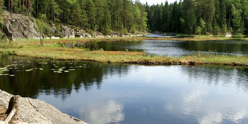 An image of the Nuuksio National Park featuring a serene lake surrounded by greenery.