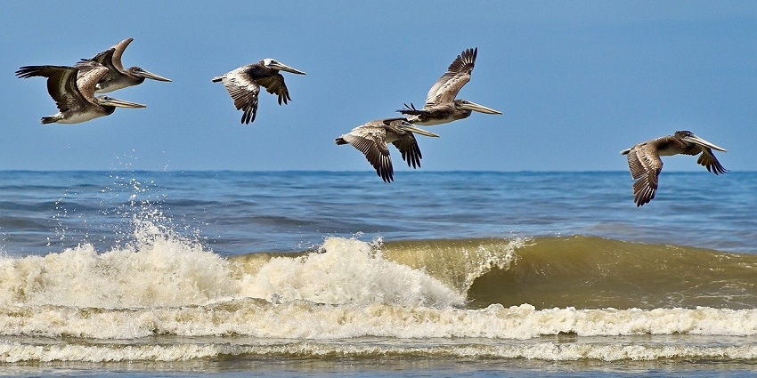 Olympic Beach is a bustling coastal destination offering water sports and scenic sunsets.