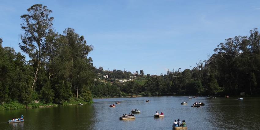 A serene image of West Mere, Ooty showing people enjoying boating under a clear blue sky