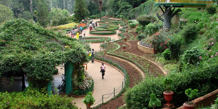 An image showing the Botanical Gardens in Ootacamund (Ooty), known for its diverse plant species.