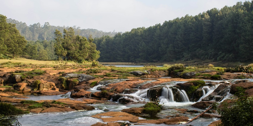 Scenic view of the village at the great places to visit in June in South India