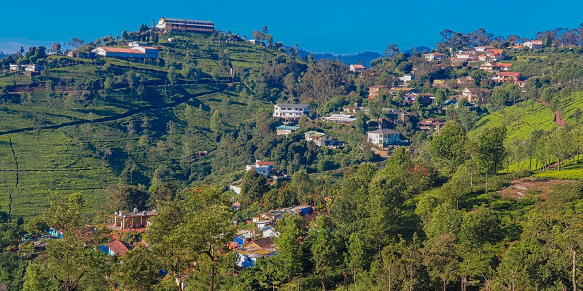 An image of a winding road with cars, trees, a house, and people standing by a tree in Ooty.