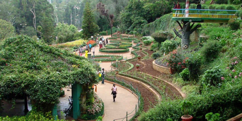 An image showing the Botanical Gardens, one of the best places to go in November in South India.