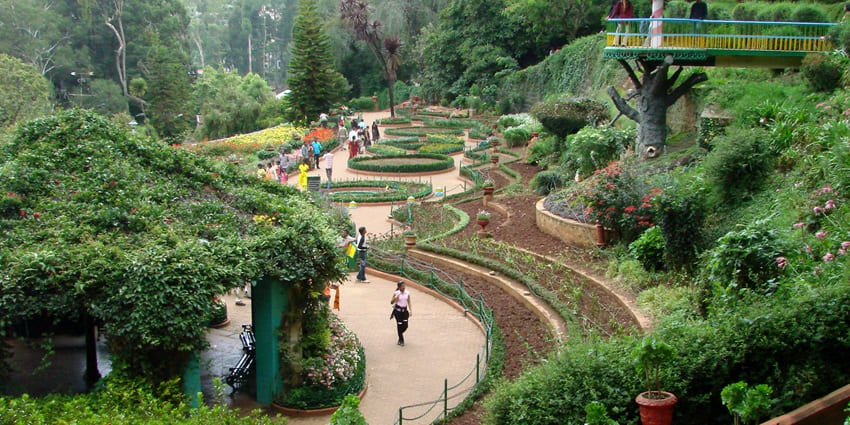 An image showing the Botanical Gardens in Ooty, one of the romantic places to visit in May in India.