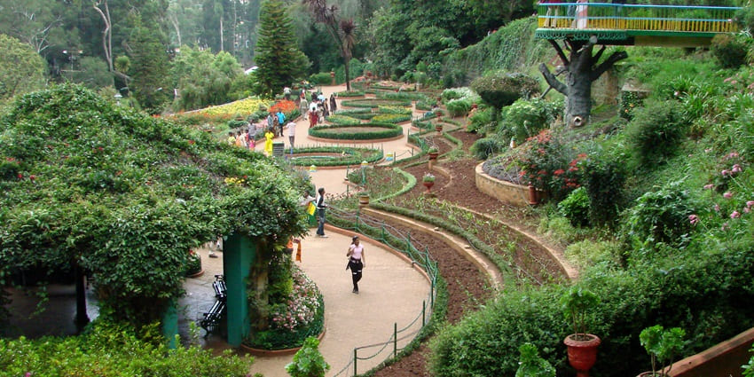 An image of Botanical Gardens in Ooty, a nice place to visit in February in South India.