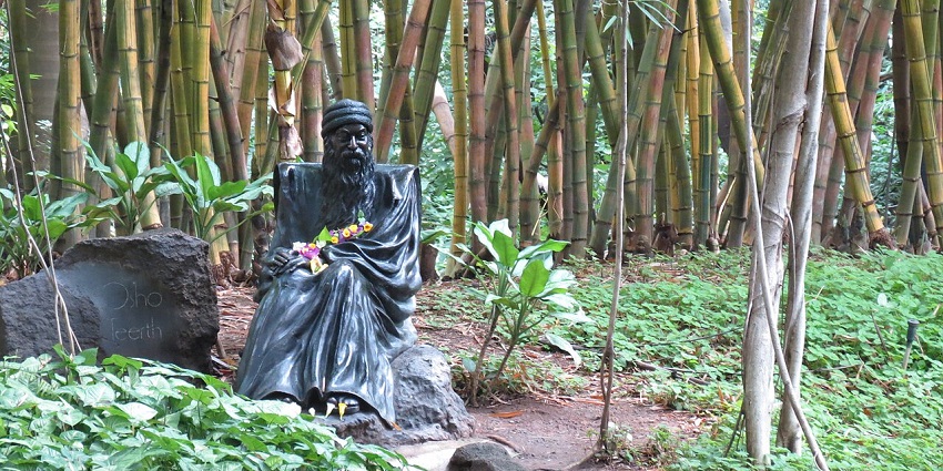 A stream flowing through Osho Garden, a place to celebrate Valentine’s Day in Pune