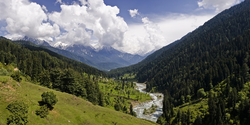 Scenic view of the Pahalgam valley surrounded by lush green trees and grass