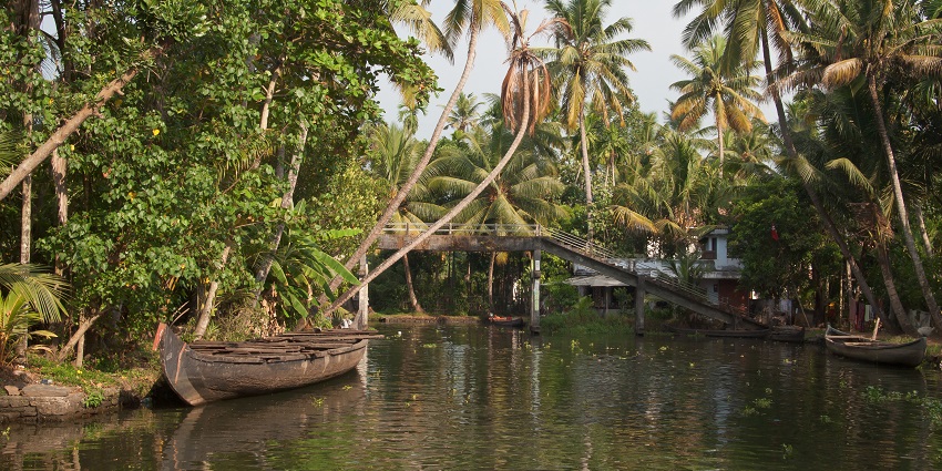 The Kerala backwaters are a network of lagoons, lakes, interconnected canals and rivers