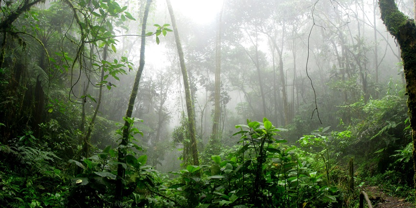 Carry light, waterproof clothes, and trekking gear when visiting Yasuni National Park.