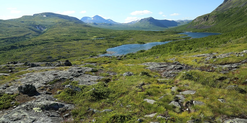 An image showing a view of the Padjelantaleden trail, one of the best places near Sarek National Park.