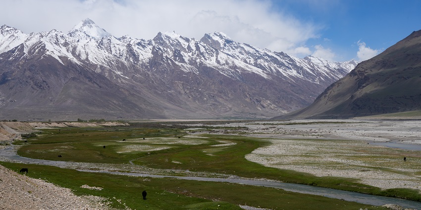 Green terrain at Padum, a starting point for Leh Trekking which ends at Lamayuru