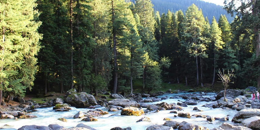 People enjoy a picnic site in scenic Pahalgam in Anantnag District, Jammu and Kashmir.