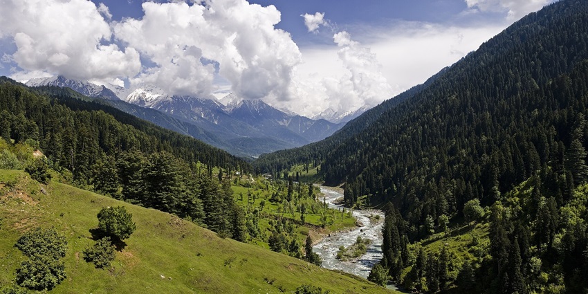 Pahalgam Valley is located in a dense alpine forest, snow-capped mountain range and clear sky.