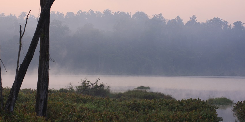 Palak Lake during sunrise, surrounded by lush greenery under a colourful painted sky
Viewers of this file can see comments and suggestions