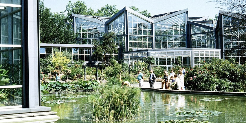 An image of the Palmengarten botanical garden in Frankfurt, Germany, featuring greenhouses and a pond with lilies.