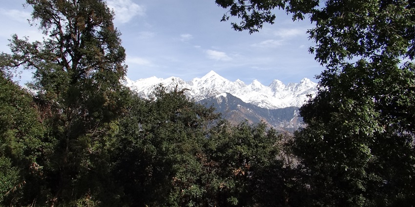 on the trekking way of "thamri kund". beautiful "Panchachuli peaks look like this