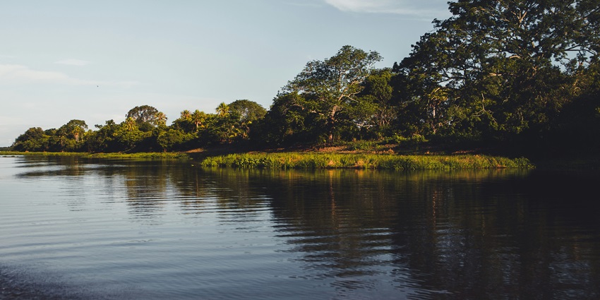 Experience the thrill of a wildlife safari with your loved one