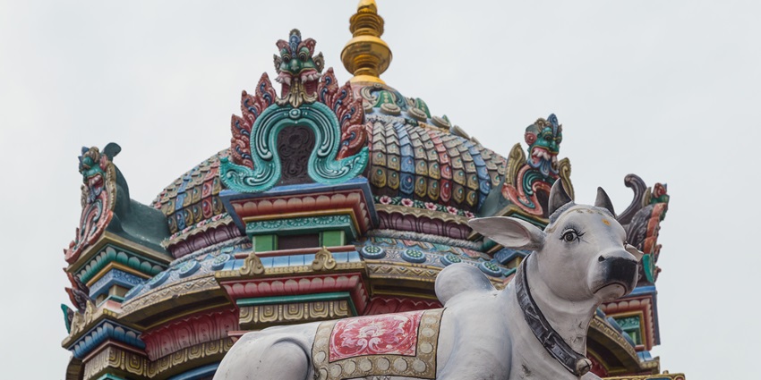 Parasakthi Mariamman Temple offers vibrant festivals in the heart of Virudhunagar.