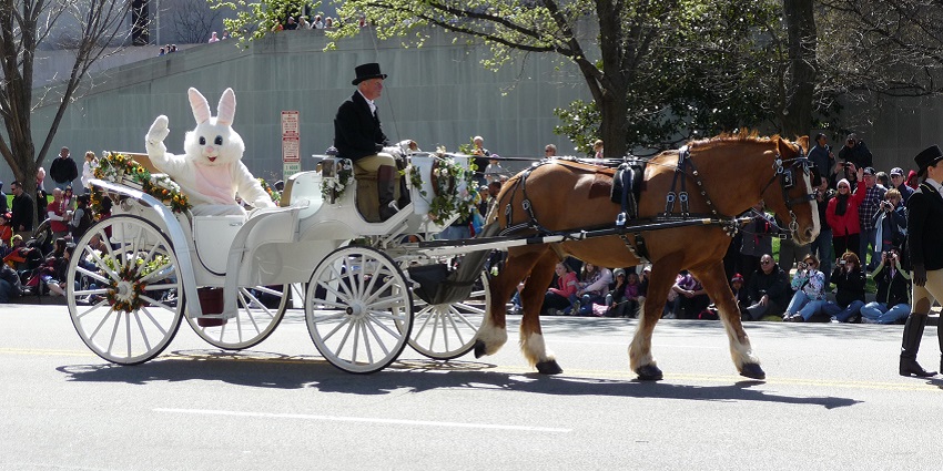 Snapshot of the Easter parade in the beautiful city