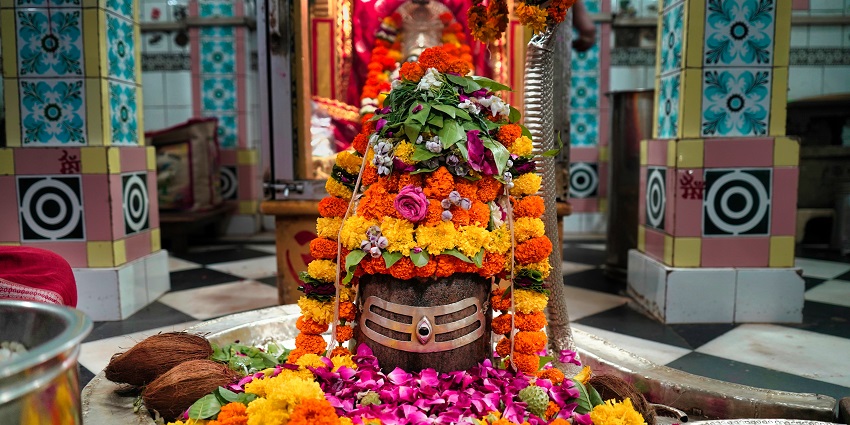 Participate in midnight temple rituals by offering milk and honey to the Shiva Linga.