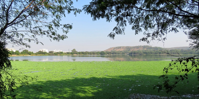 Tranquil Lake is known for birdwatching and peaceful surroundings