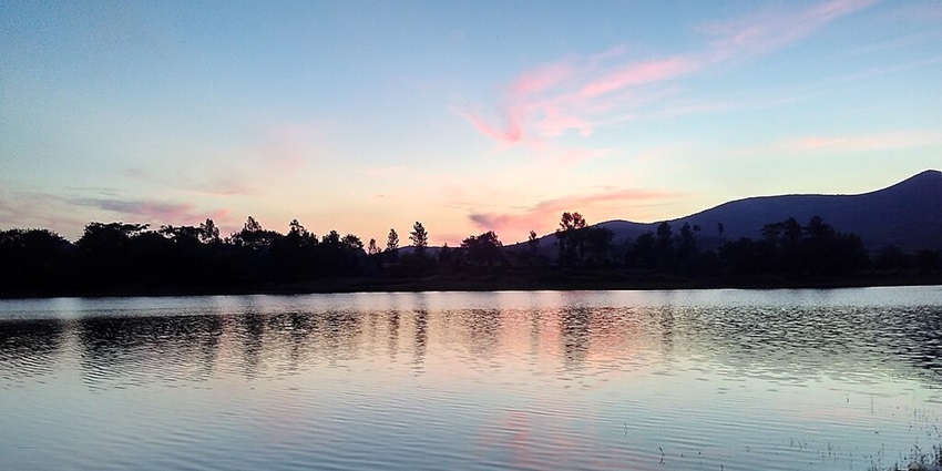 Lake in the evening with a colourful evening, trees, grass on the lake and mountains