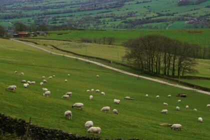 Peak District National Park features scenic trails and unique birds, making it a perfect getaway