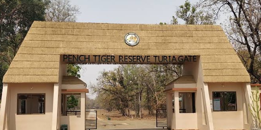 Discover Pench’s wild magic, the setting for Kipling’s legendary tales.