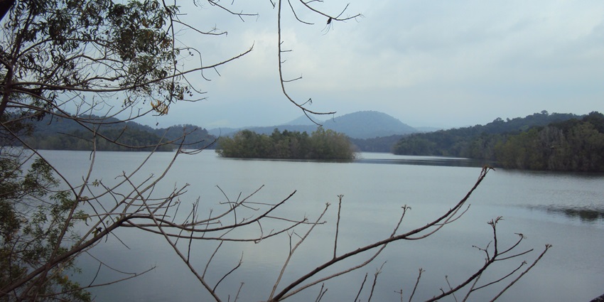 An image of the Peppara Wildlife Sanctuary, a famous wildlife sanctuary in South India.