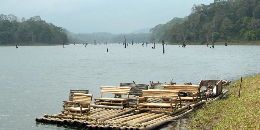 Cruise through Periyar’s wild waters and encounter elephants